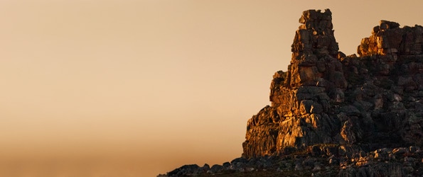 BUR-GOT-AV-MRND-Grid-Long-595x250px.jpg