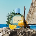 50 ML DOLCE & GABBANA LIGHT BLUE POUR HOMME Parfumovaná voda 2 of 5 Parfumovaná voda