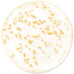 30 ML GUERLAIN ABEILLE ROYALE YOUTH WATERY OIL SERUM Hĺbkovo obnovujúce a omladzujúce sérum  2 of 7 Hĺbkovo obnovujúce a omladzujúce sérum