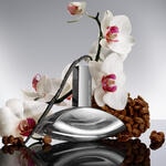 30 ML CALVIN KLEIN CALVIN KLEIN EUPHORIA SIGNATURE ELIXIR PARFUM INTENSE Intenzívny parfumový elixír 7 of 9 Intenzívny parfumový elixír