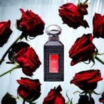 104 ML Gisada LUXURY COLLECTION ROSE PARFUM Parfumovaná voda  2 of 3 Parfumovaná voda