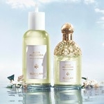 75 ML GUERLAIN AQUA ALLEGORIA NEROLIA VETIVER Toaletná voda  2 of 3 Toaletná voda