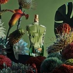 75 ML Jean Paul Gaultier LE BEAU PARADISE GARDEN Parfumovaná voda 6 of 6 Parfumovaná voda
