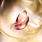 30 ML Lancôme ABSOLUE LONGEVITY SOFT CREAM Starostlivosť proti starnutiu  5 of 8 Starostlivosť proti starnutiu