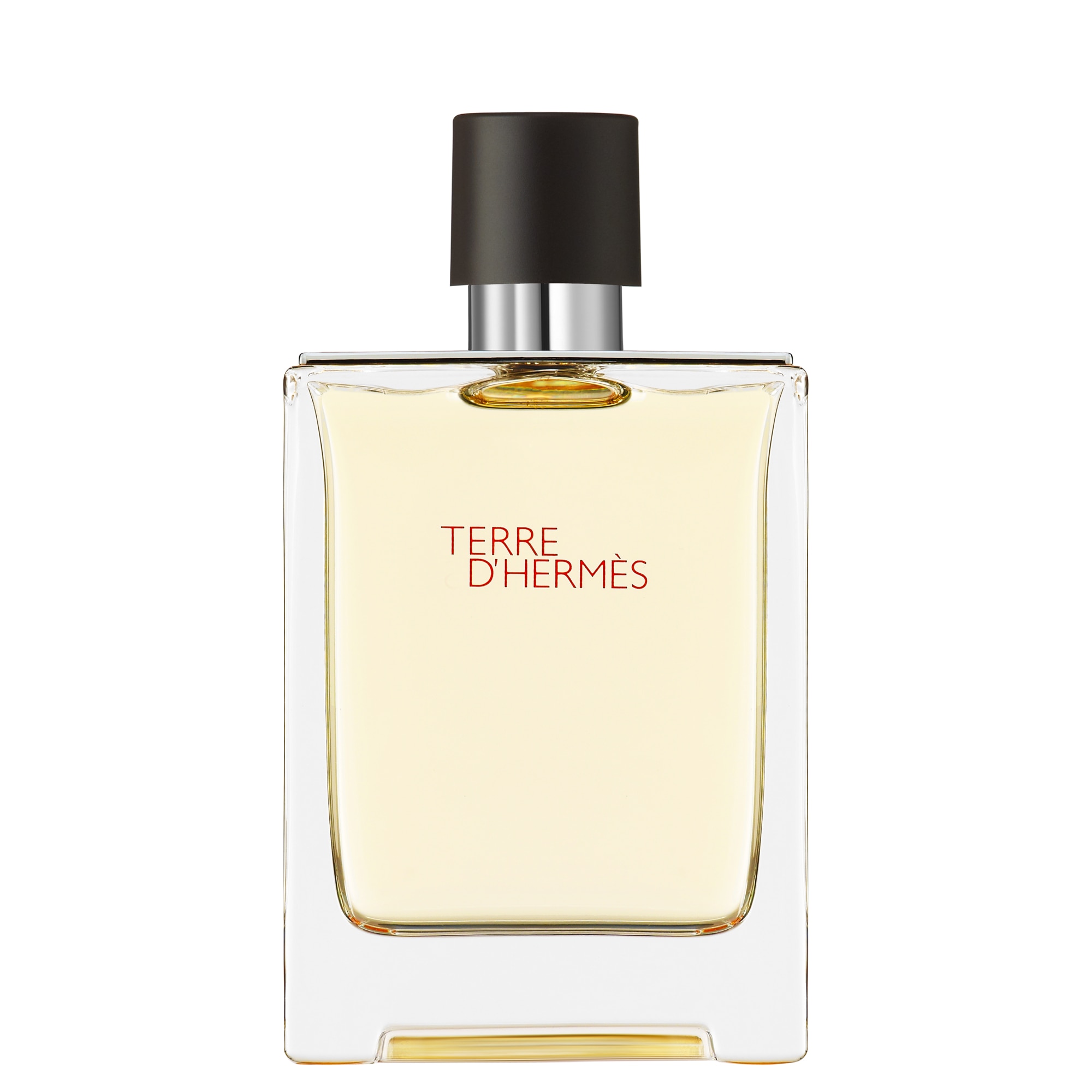 100 ML Hermès TERRE D'HERMÈS Toaletná voda 1 of 2 Toaletná voda