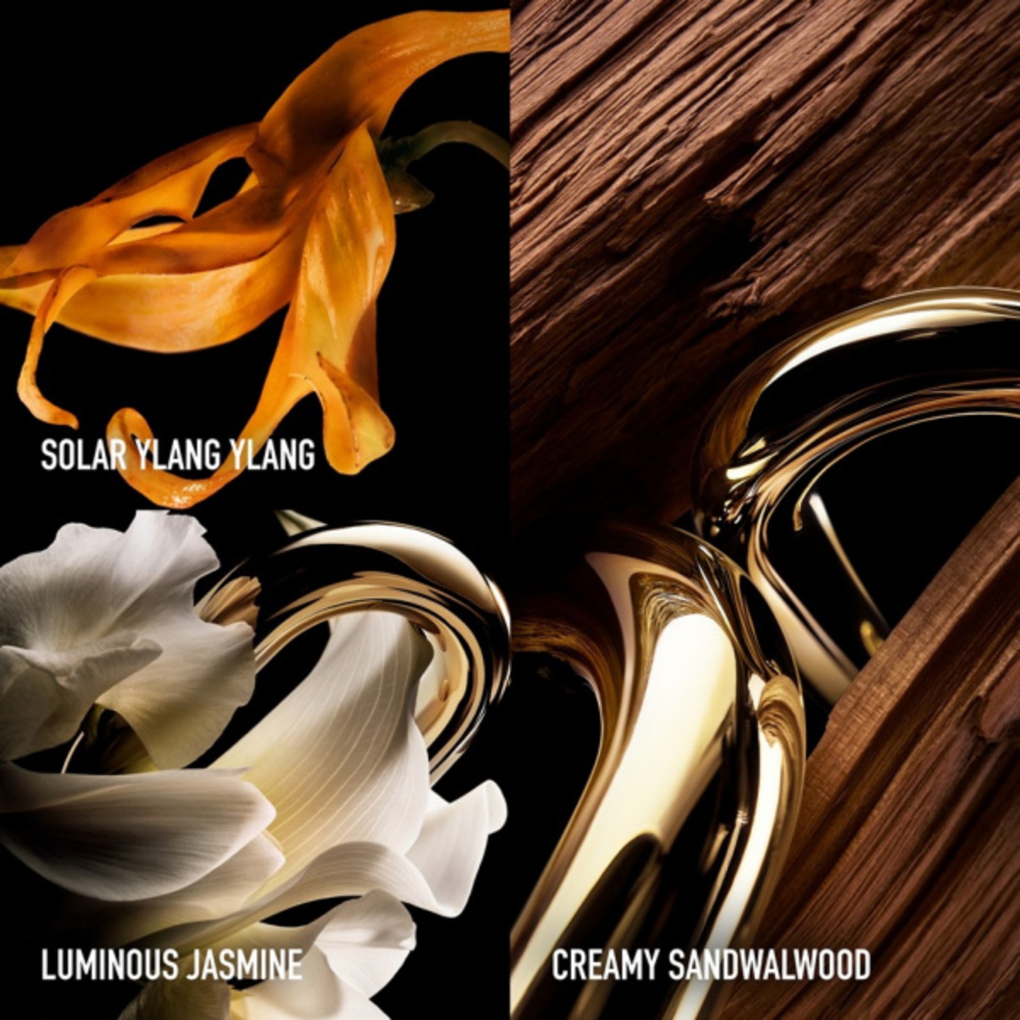 50 ML RABANNE MILLION GOLD FOR HER Parfum 1 of 5