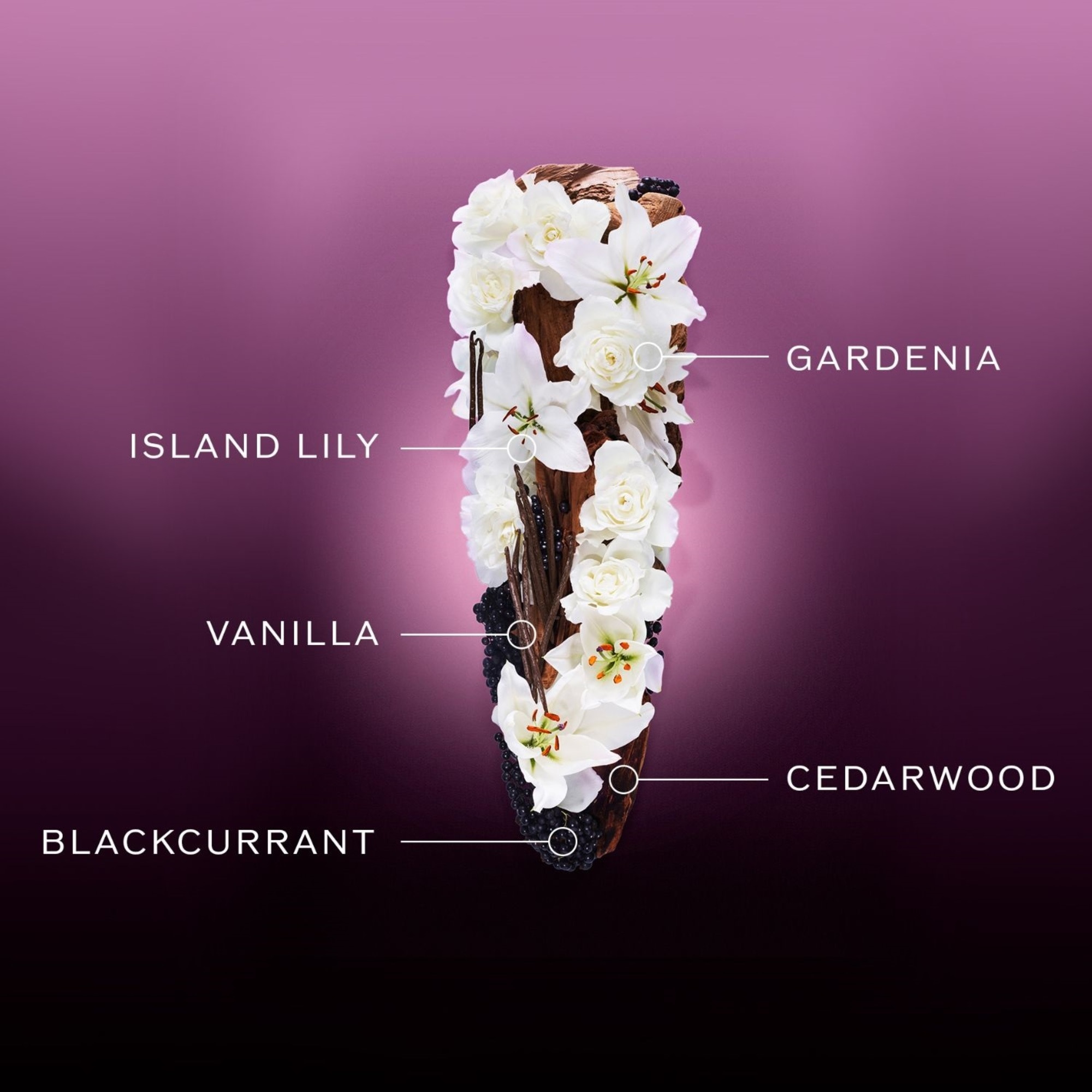 Parfumovaná voda&nbsp;