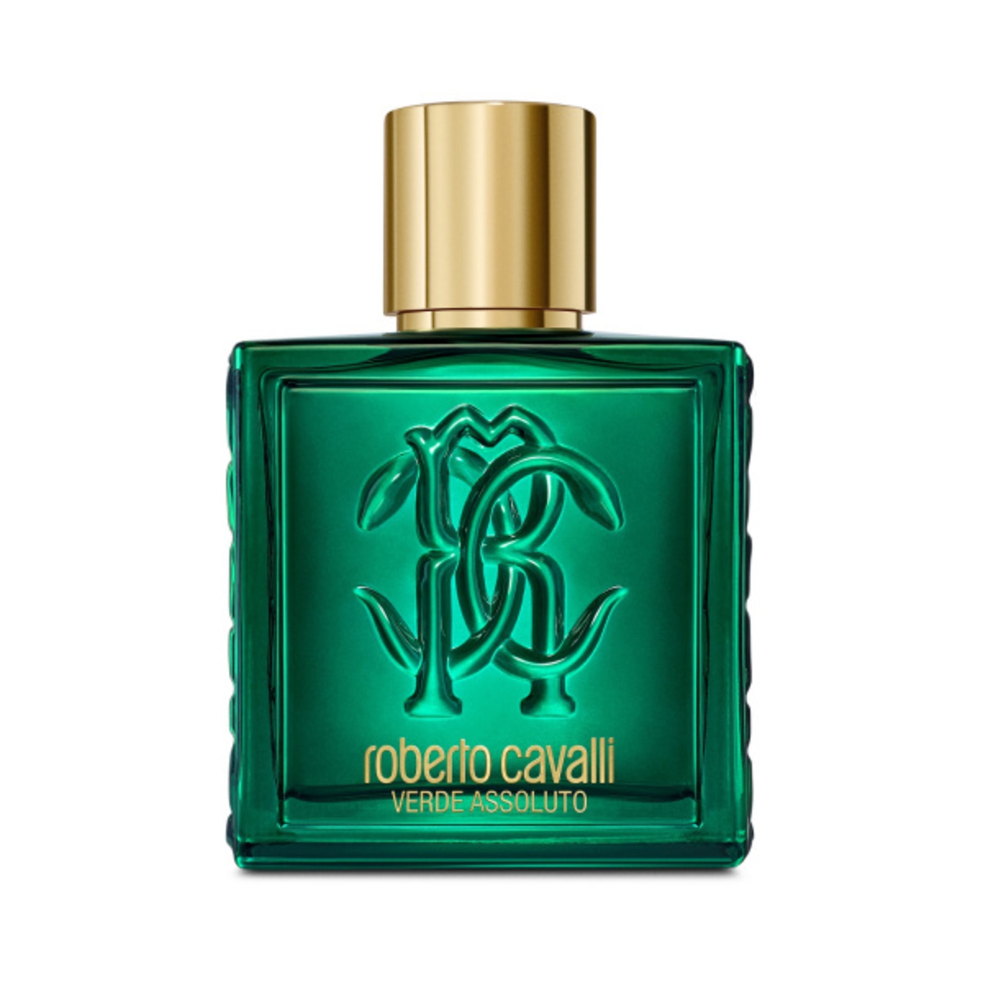 100 ML Roberto Cavalli UOMO VERDE ASSOLUTO Parfumovaná voda 1 of 2