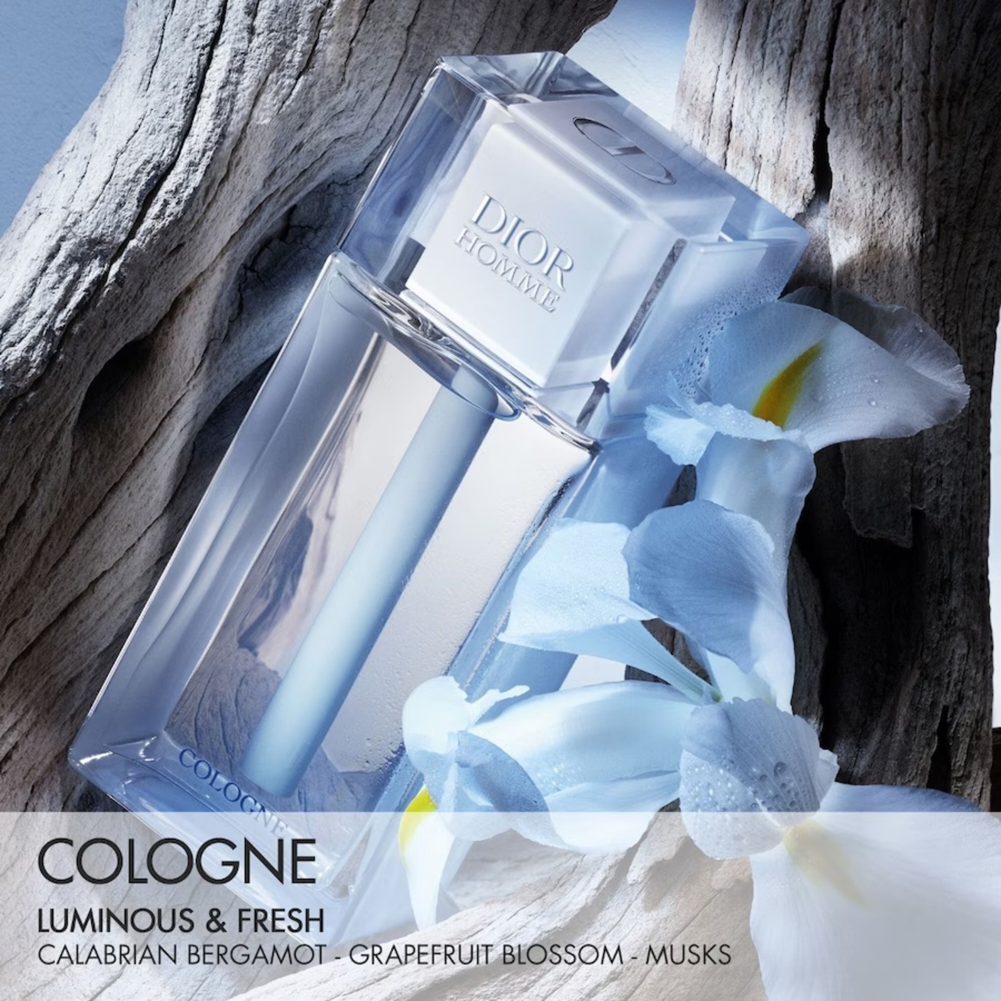 Cologne toaletná voda