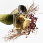 100 ML Hermès TERRE D'HERMÈS EAU INTENSE VÉTIVER Parfumovaná voda pre mužov 2 of 4 Parfumovaná voda pre mužov