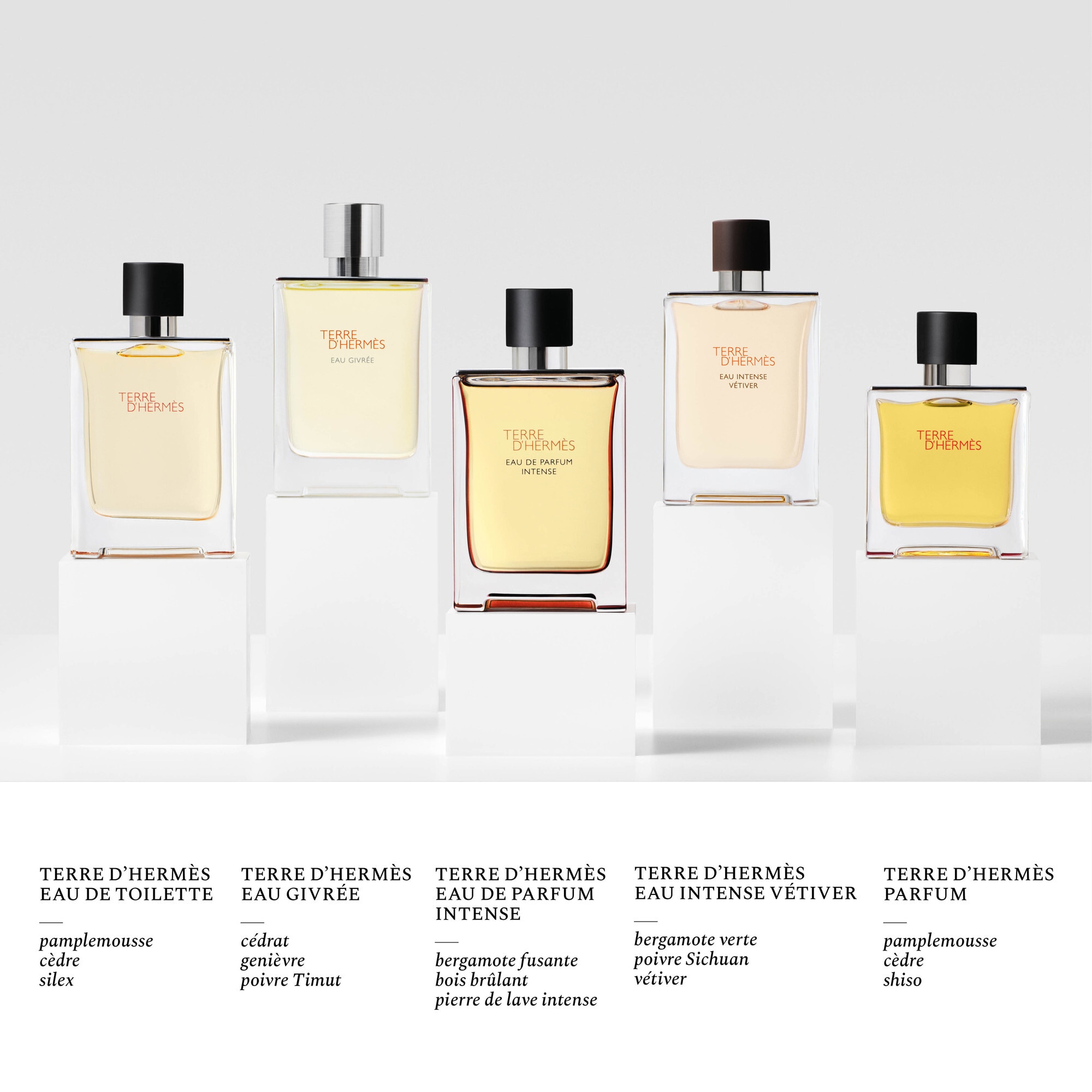 100 ML Hermès TERRE D'HERMÈS EAU INTENSE VÉTIVER Parfumovaná voda pre mužov  1 of 4 