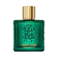 100 ML Roberto Cavalli UOMO VERDE ASSOLUTO Parfumovaná voda 