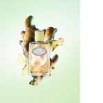 100 ML PRADA LES INFUSION DE GINGEMBRE Parfumovaná voda  2 of 3 Parfumovaná voda