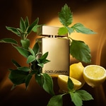 50 ML DOLCE & GABBANA THE ONE FOR MEN GOLD INTENSE Parfumovaná voda 2 of 5 Parfumovaná voda