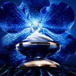 50 ML GUERLAIN ORCHIDÉE IMPÉRIALE THE LONGEVITY RICH CREAM Krém proti starnutiu pleti  2 of 7 Krém proti starnutiu pleti