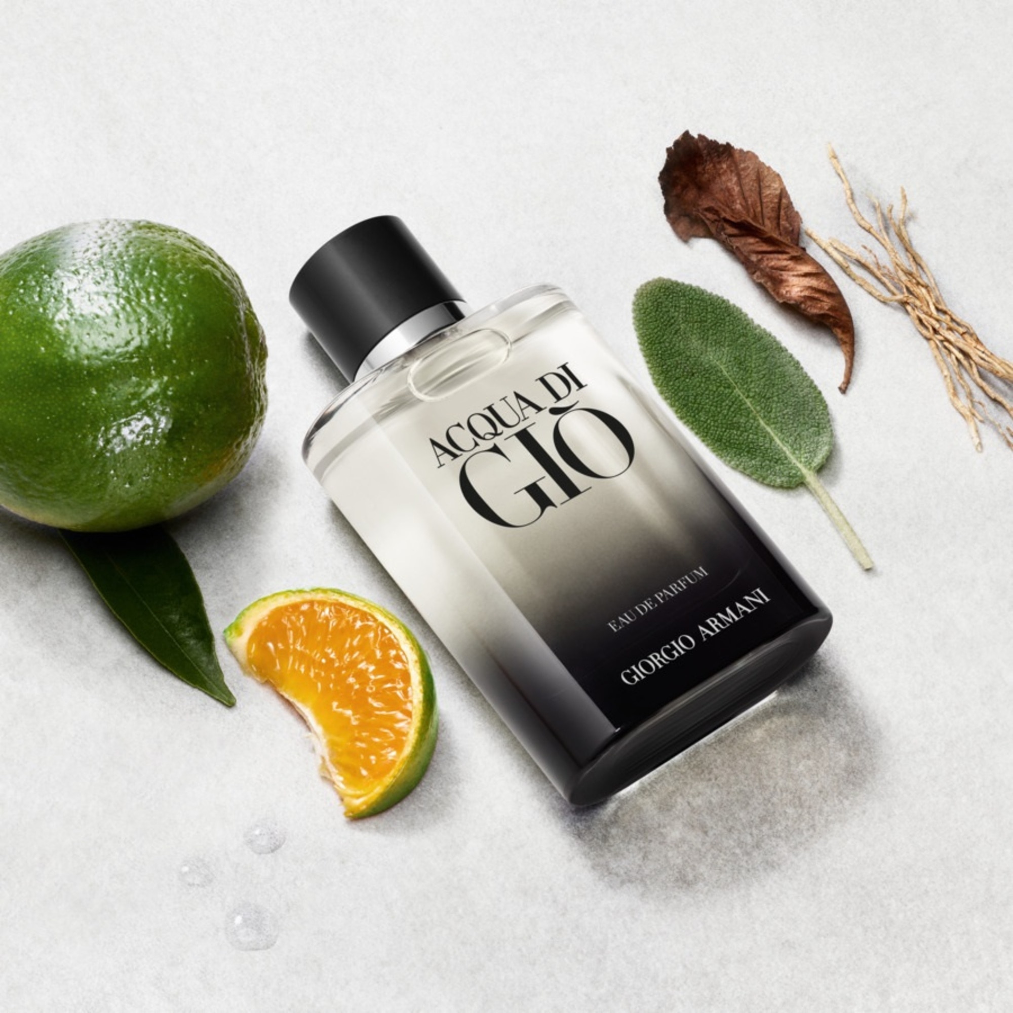 100 ML Armani ACQUA DI GIÒ EAU DE PARFUM Parfumovaná voda 1 of 4