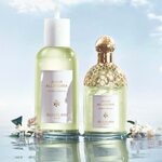 75 ML GUERLAIN AQUA ALLEGORIA HERBA FRESCA Toaletná voda  2 of 3 Toaletná voda