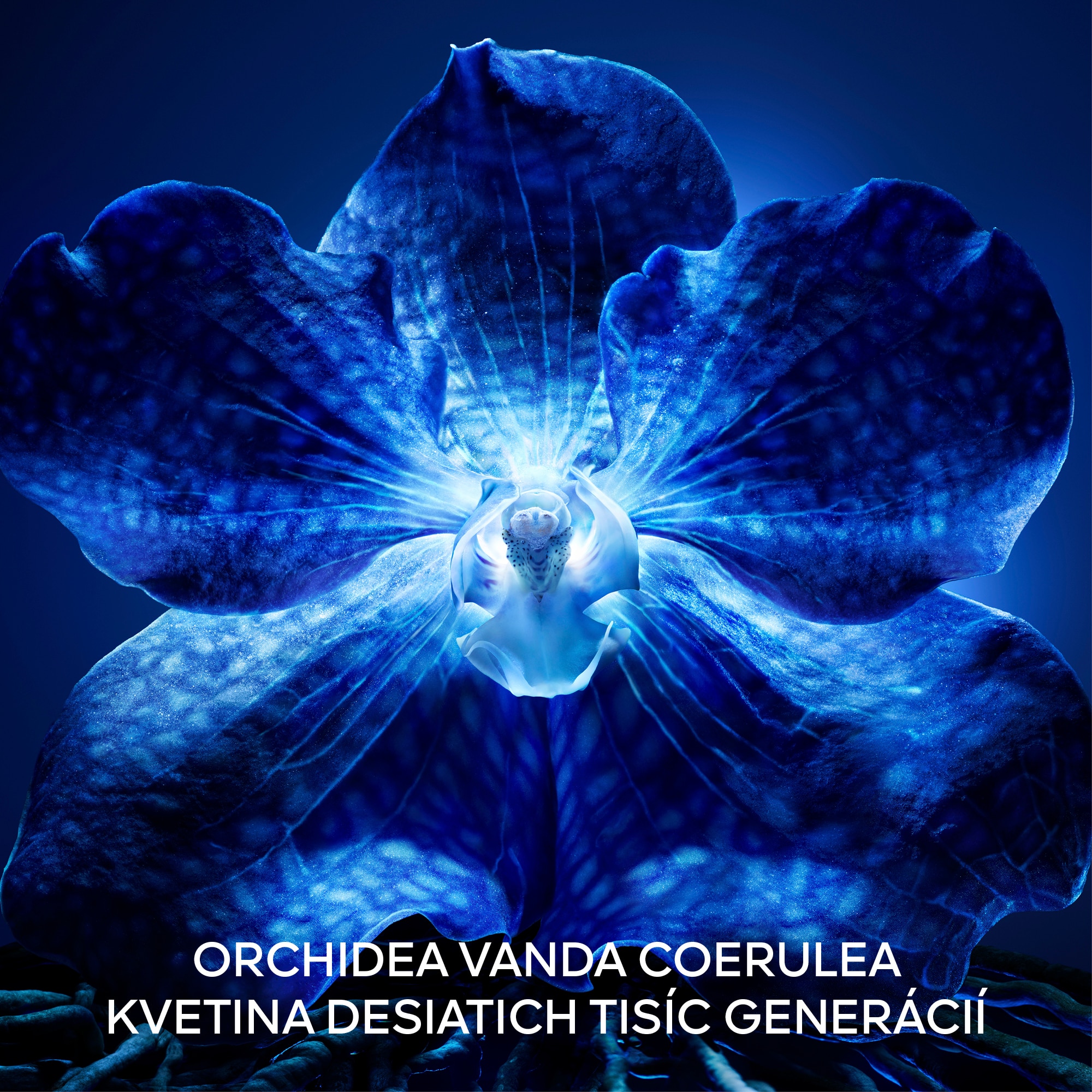 Krém proti starnutiu pleti