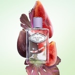 100 ML SISLEY L'EAU RÊVÉE D'ISA Toaletná voda 2 of 3 Toaletná voda