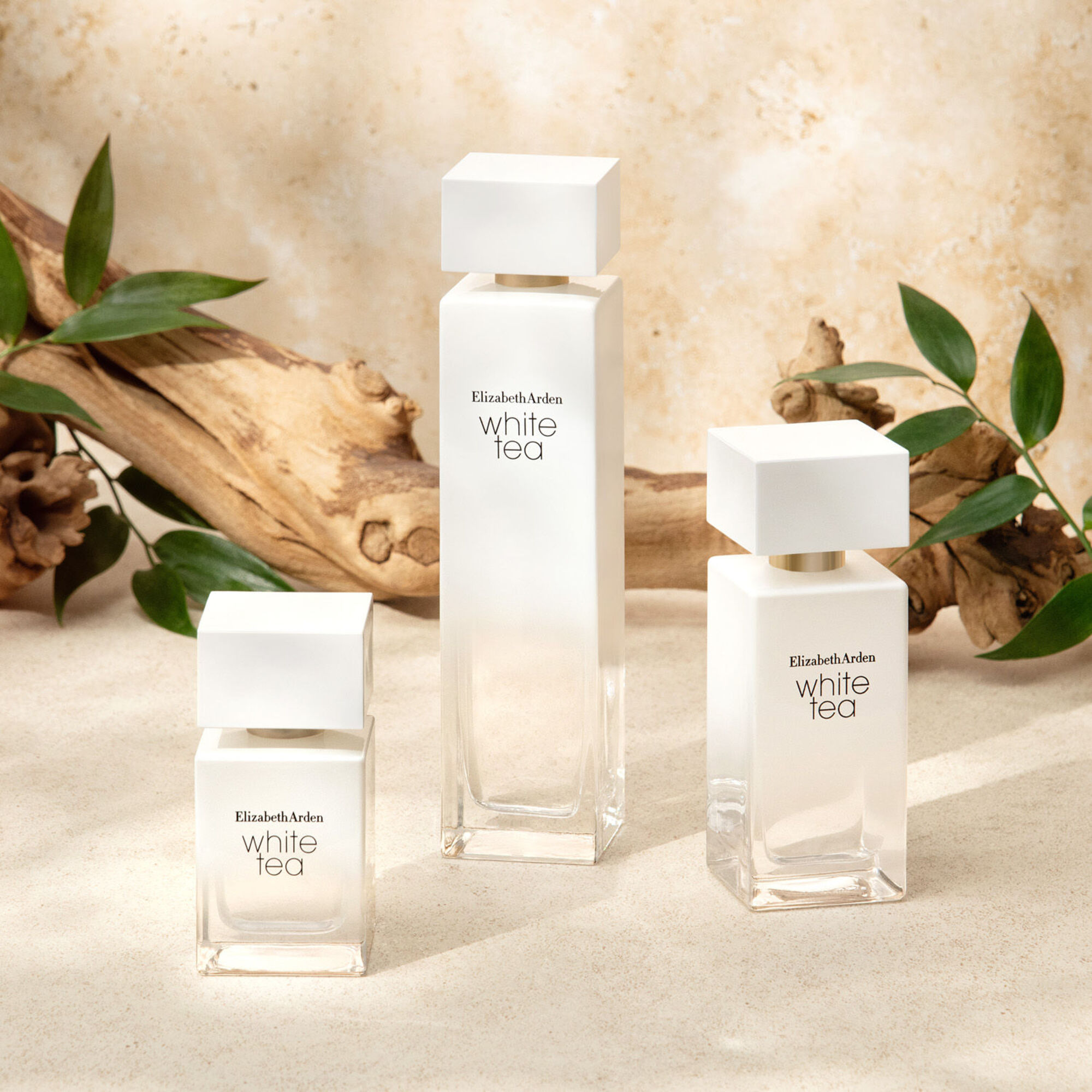 100 ML Elizabeth Arden WHITE TEA Toaletná voda 1 of 5