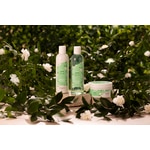 220 ML MARIONNAUD BATH LINE JASMINE GREEN TEA Telový peeling  4 of 5 Telový peeling