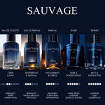 100 ML Dior Sauvage – Limitovaná edícia Toaletní voda 4 of 4 Toaletní voda