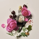 100 ML Jimmy Choo I WANT CHOO FOREVER Parfumovaná voda  2 of 3 Parfumovaná voda