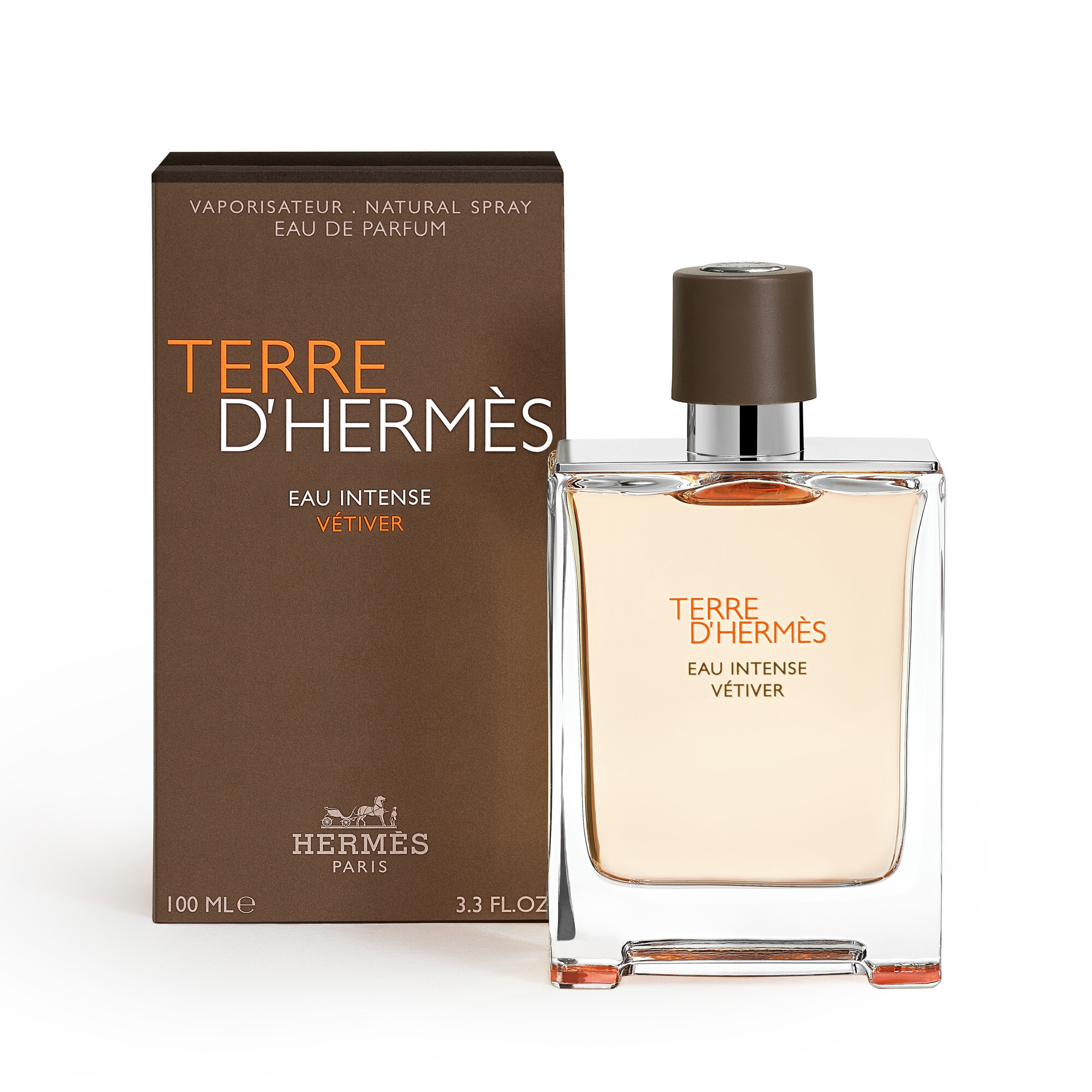 100 ML Hermès TERRE D'HERMÈS EAU INTENSE VÉTIVER Parfumovaná voda pre mužov  1 of 4 