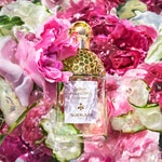 75 ML GUERLAIN AQUA ALLEGORIA ROSA VERDE Toaletná voda 3 of 5 Toaletná voda