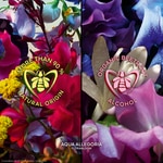 75 ML GUERLAIN ABSOLUS ALLEGORIA FLORABLOOM Parfumovaná voda  7 of 7 Parfumovaná voda