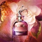 30 ML Jean Paul Gaultier SCANDAL Parfumovaná voda 3 of 5 Parfumovaná voda