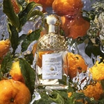 40 ML GUERLAIN AQUA ALLEGORIA MANDARINE BASILIC Toaletná voda  3 of 5 Toaletná voda