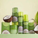 150 G SOMERSET BODY SCRUB BRUSH SET Sada telového peelingu a masážnej kefy 2 of 3 Sada telového peelingu a masážnej kefy