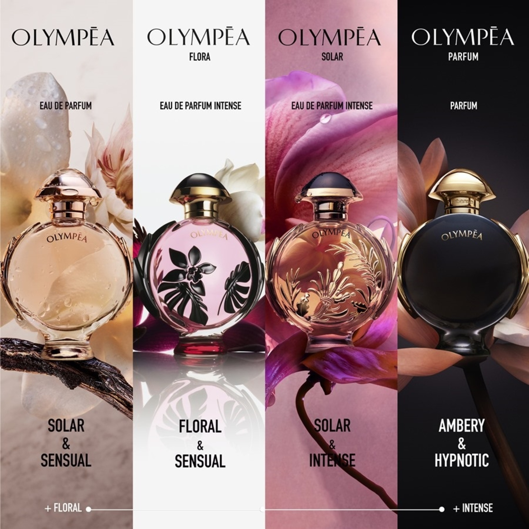 50 ML RABANNE OLYMPEA PARFUM Parfum  1 of 7 
