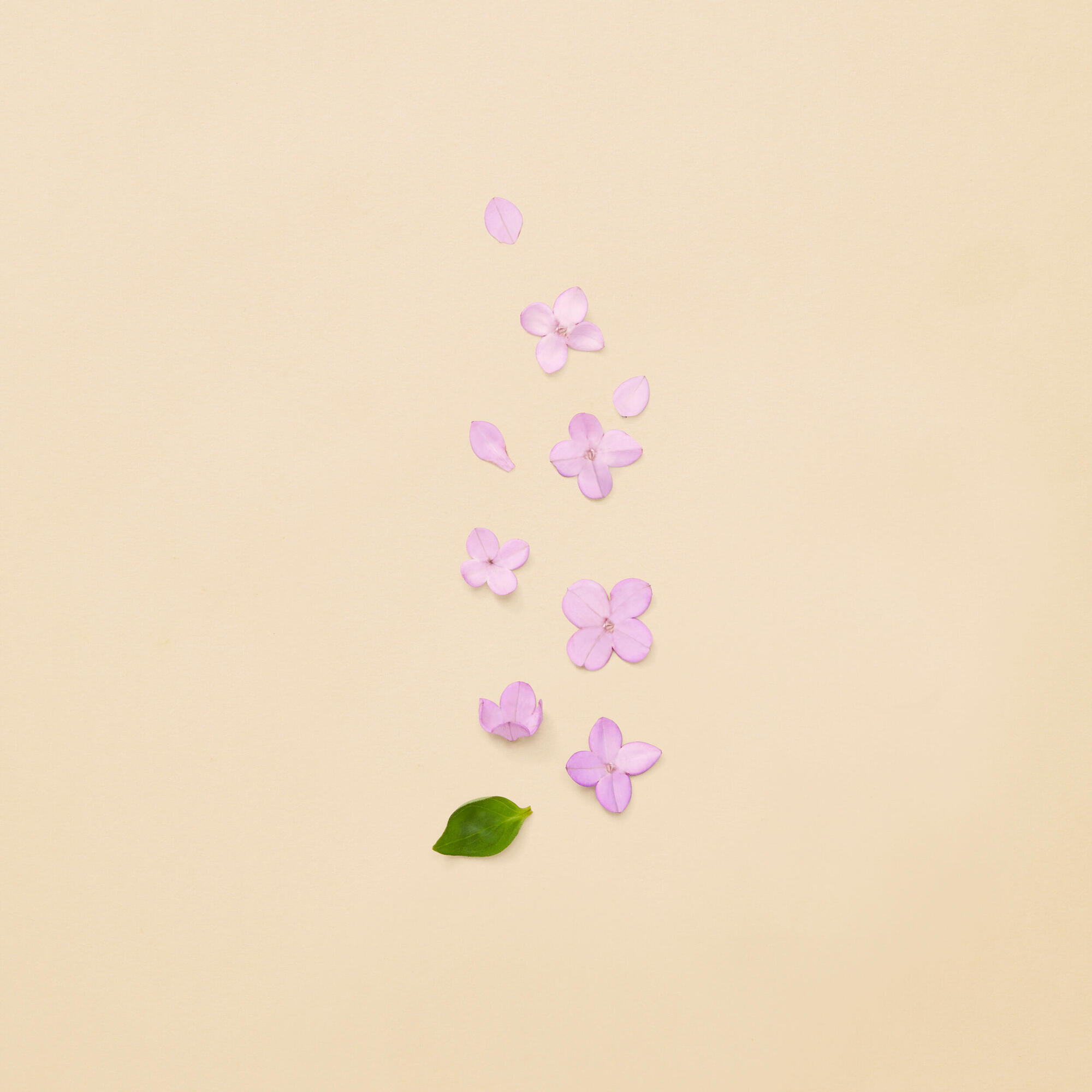 Parfumovaná voda pre ženy