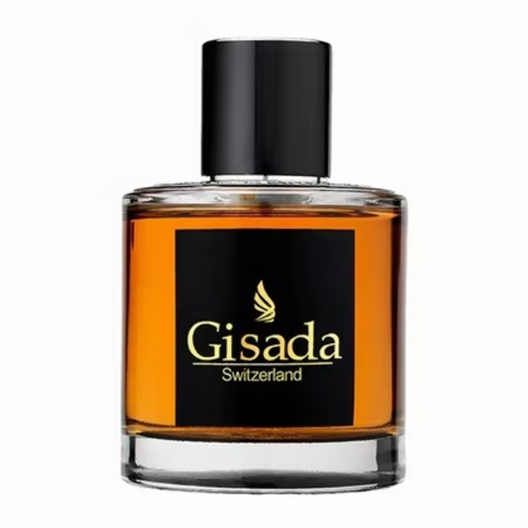 100 ML Gisada AMBASSADOR MEN Parfumovaná voda 1 of 4