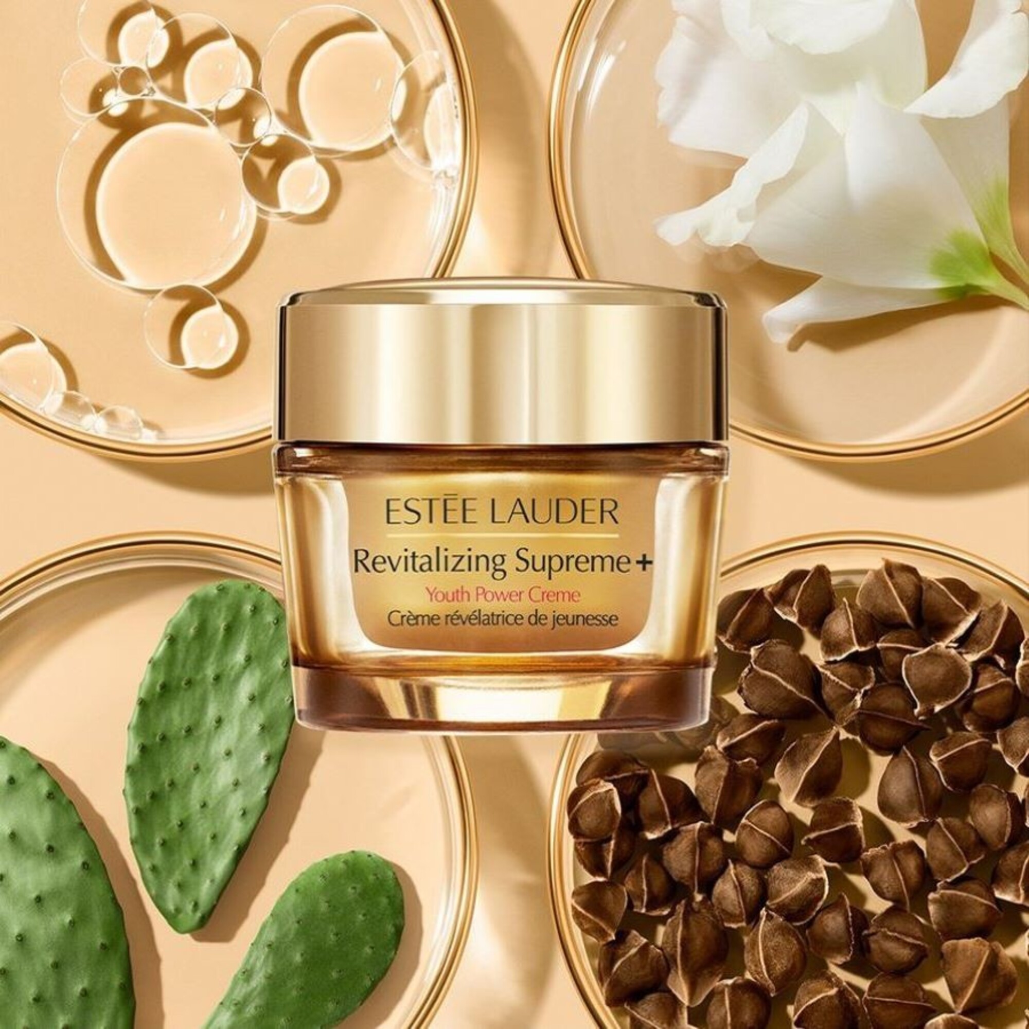 Omladzujúci krém na tvár. Náplň.