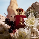 50 ML DOLCE & GABBANA Q ELIXIR Parfumovaná voda 2 of 5 Parfumovaná voda
