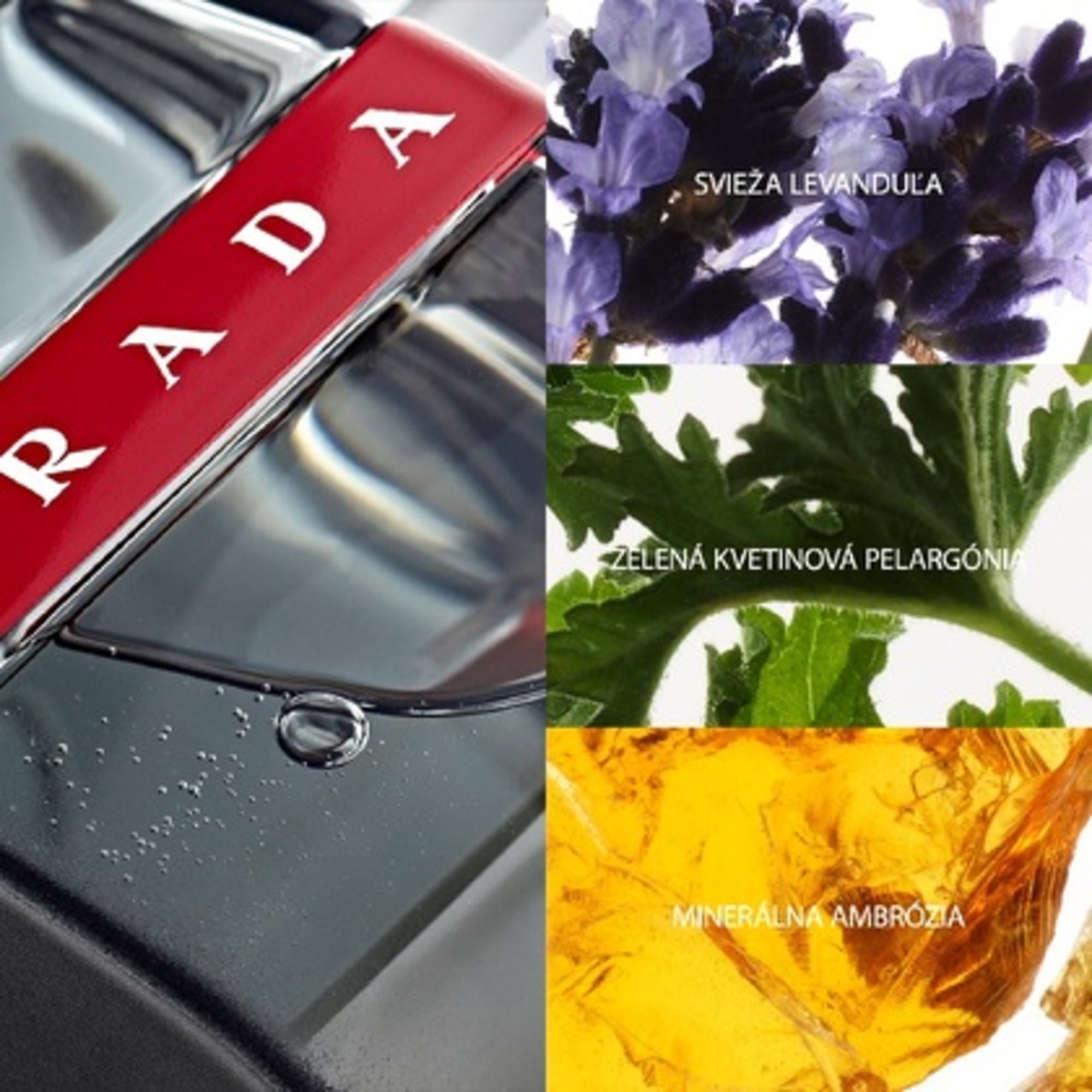 100 ML PRADA LUNA ROSSA CARBON Toaletná voda pre mužov  1 of 3 