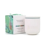 200 G SOMERSET CERAMIC CANDLE SEA KELP CEDAR Vonná sviečka 1 of 1 Vonná sviečka