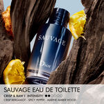 100 ML Dior Sauvage – Limitovaná edícia Toaletní voda 2 of 4 Toaletní voda