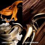 30 ML RABANNE MILLION GOLD FOR HER Parfum  2 of 5 Parfum