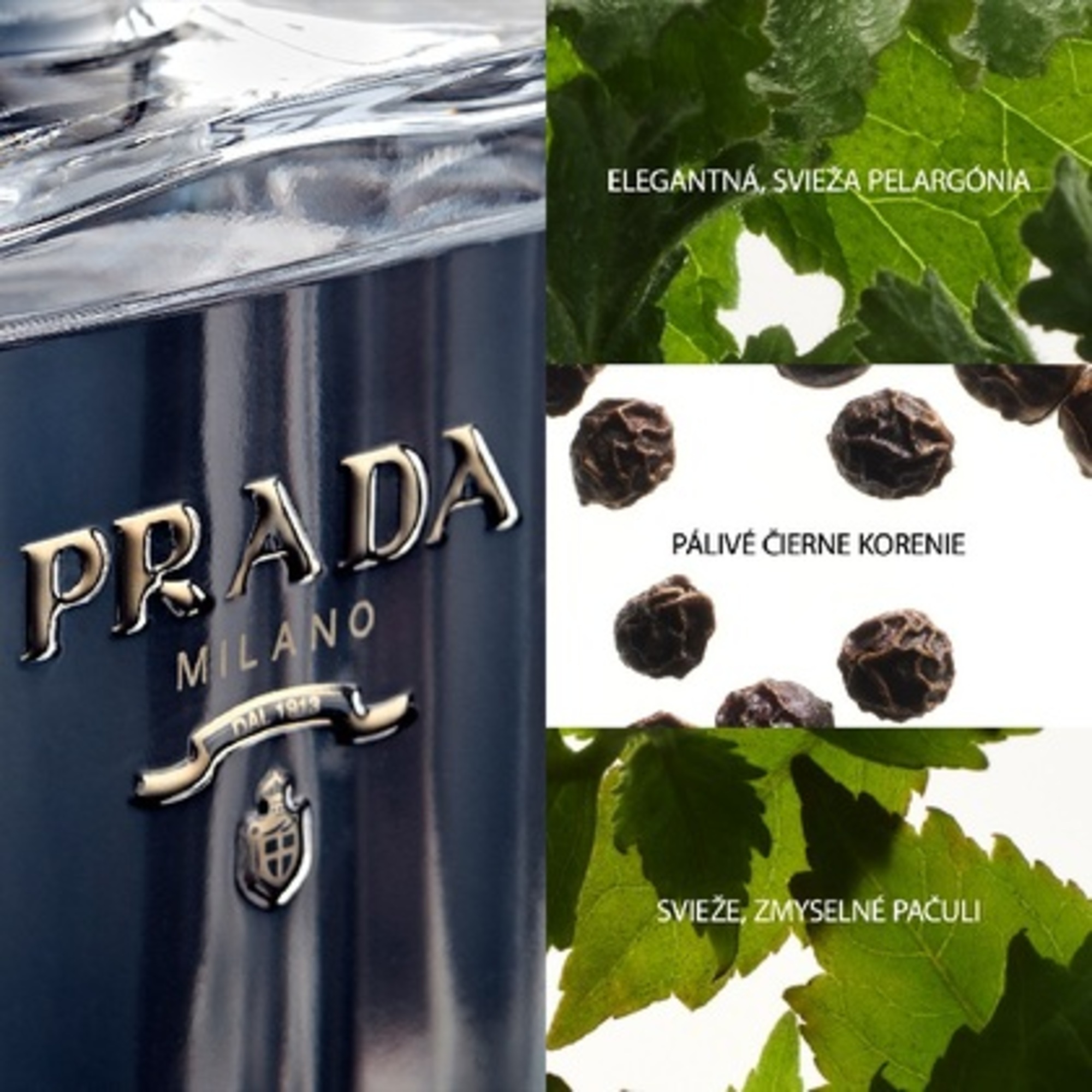 100 ML PRADA L´HOMME PRADA Toaletná voda pre mužov  1 of 3 