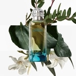 50 ML Hermès UN JARDIN EN MÉDITERRANÉE Hermés UN JARDIN EN MÉDITERRANÉE Toaletná voda rozprašovač 2 of 4 Hermés UN JARDIN EN MÉDITERRANÉE Toaletná voda rozprašovač