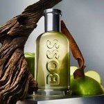 50 ML HUGO BOSS BOSS BOTTLED Toaletná voda s rozprašovačom  2 of 4 Toaletná voda s rozprašovačom