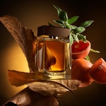 50 ML DOLCE & GABBANA THE ONE POUR HOMME Parfumovaná voda 2 of 3 Parfumovaná voda