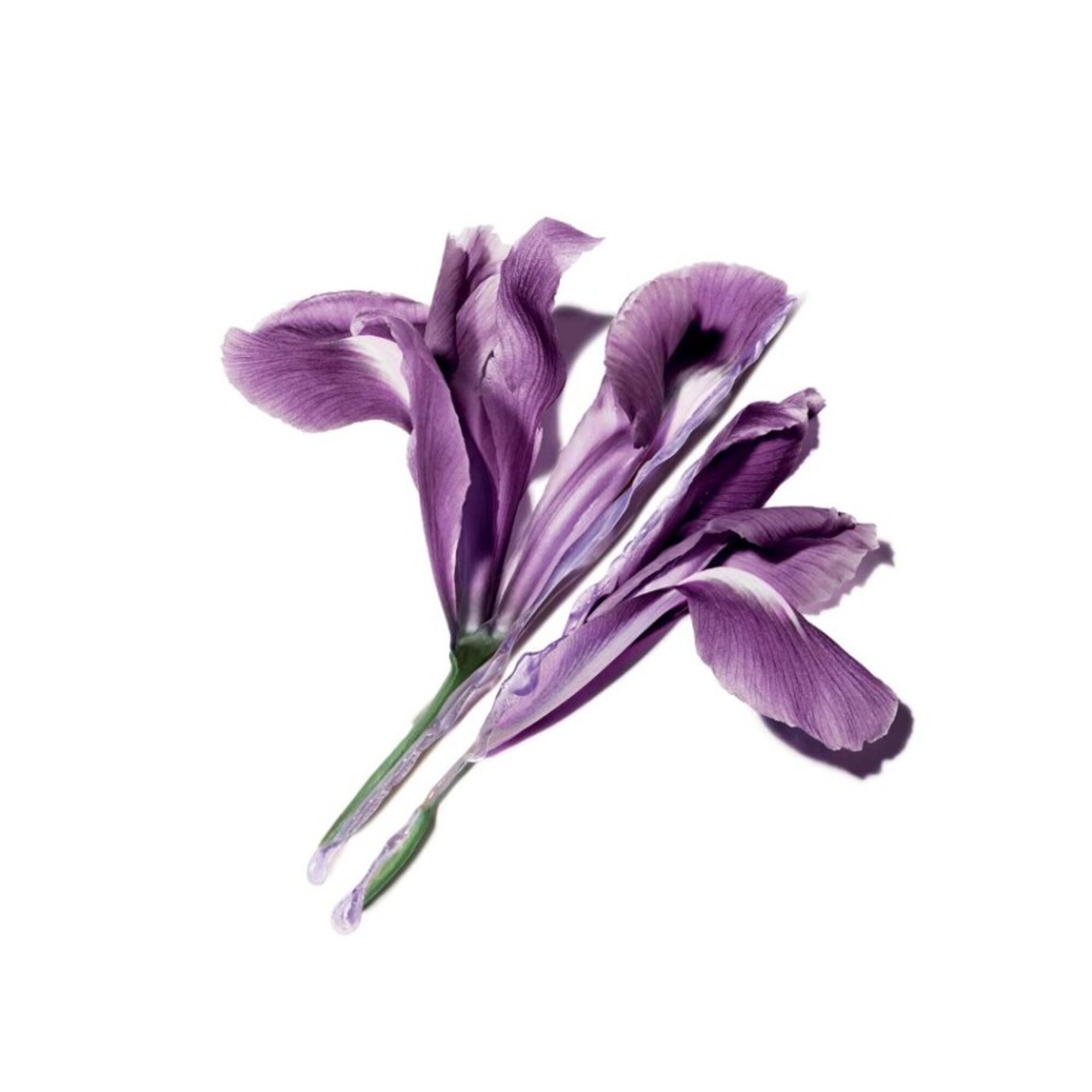 Vyhladzujúce sérum. Náplň.