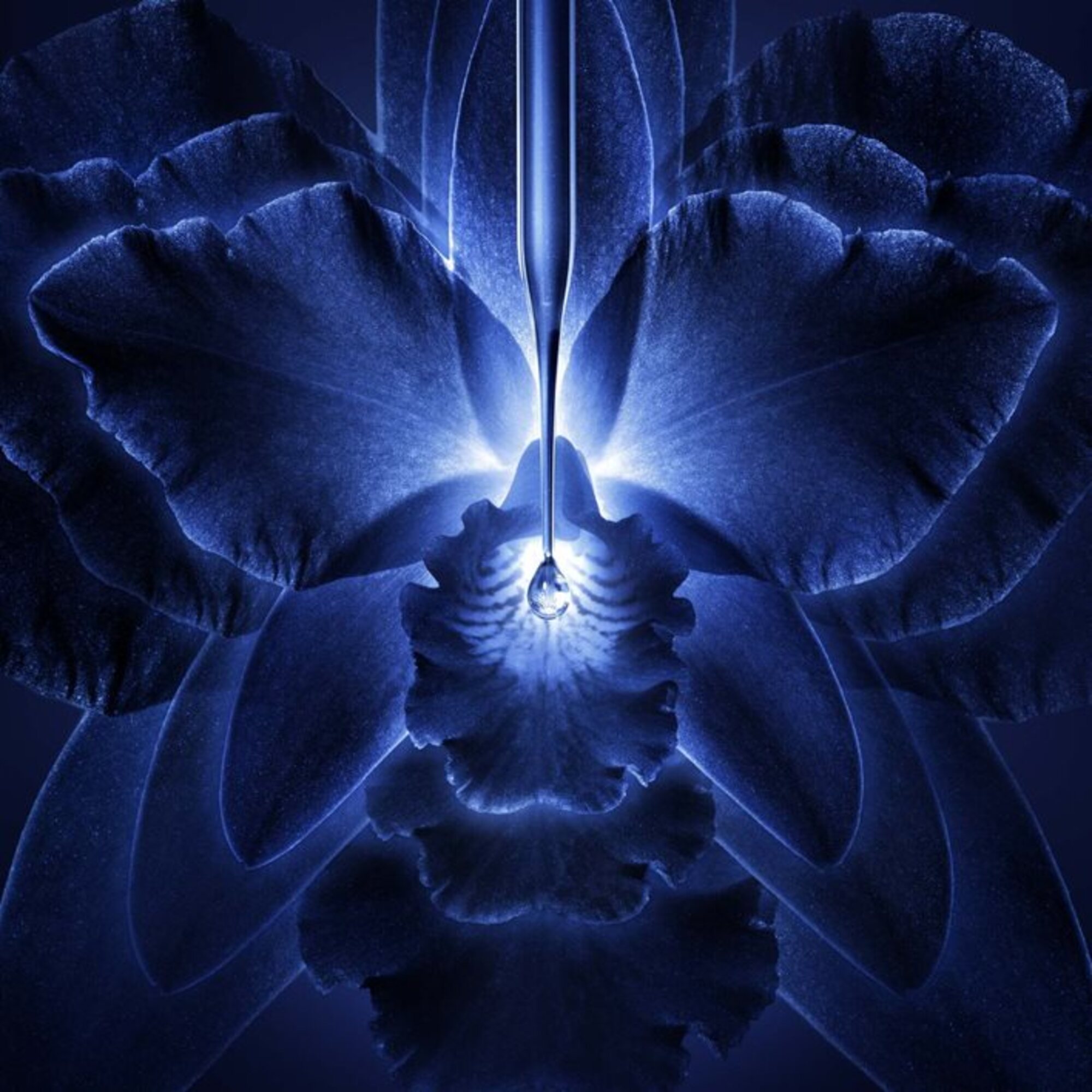 Pleťový krém. Náplň.