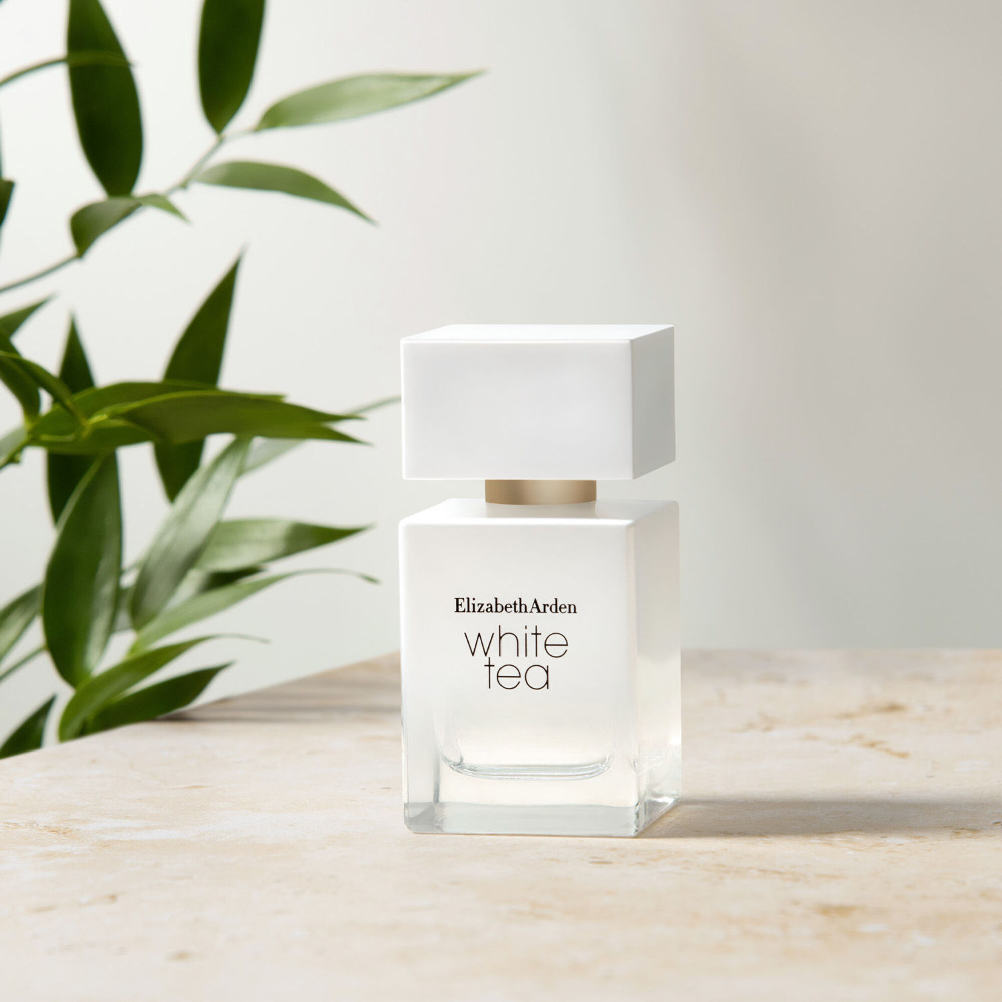100 ML Elizabeth Arden WHITE TEA Toaletná voda 1 of 5