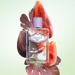 100 ML PRADA LES INFUSIONS DE FIGUE Parfumovaná voda 2 of 3 Parfumovaná voda